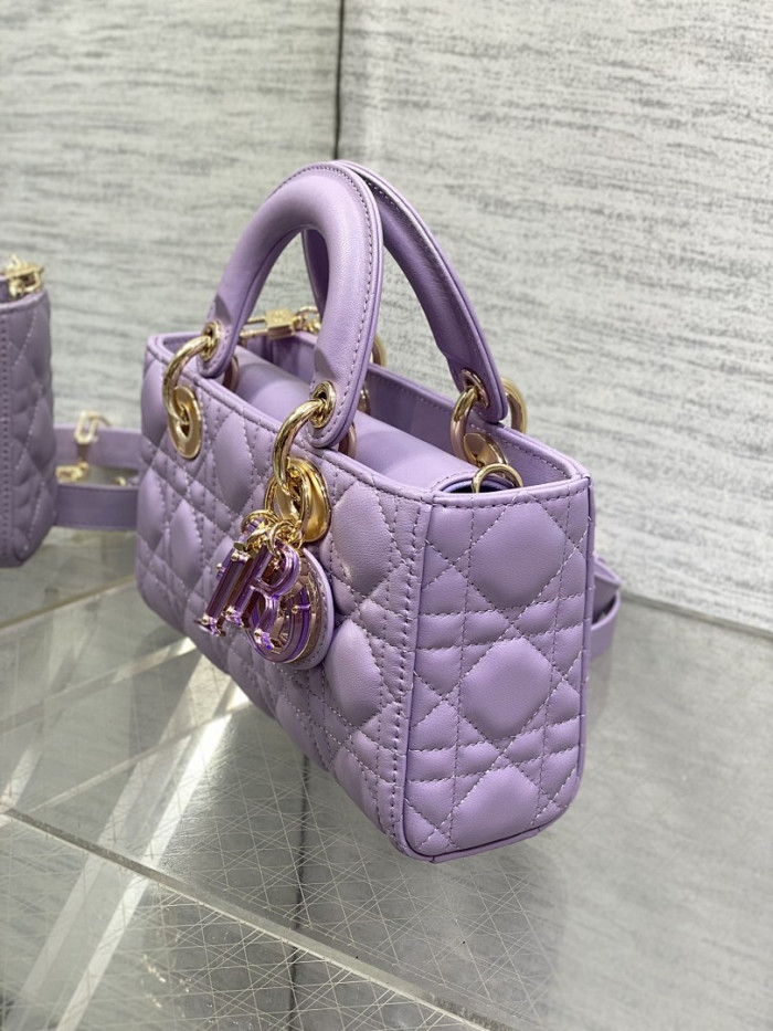 D1OR BAG 22.5x6x11.5cm