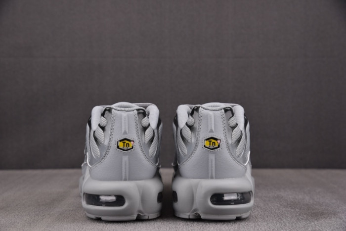 Nike Air Max Plus Wolf Grey 852630-021