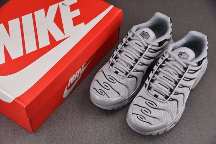 Nike Air Max Plus Wolf Grey 852630-021