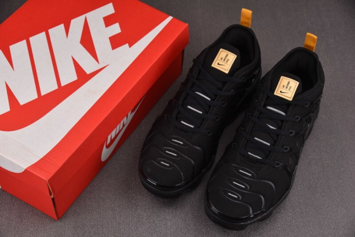 NIKE AIR VAPORMAX Plus 924453-007