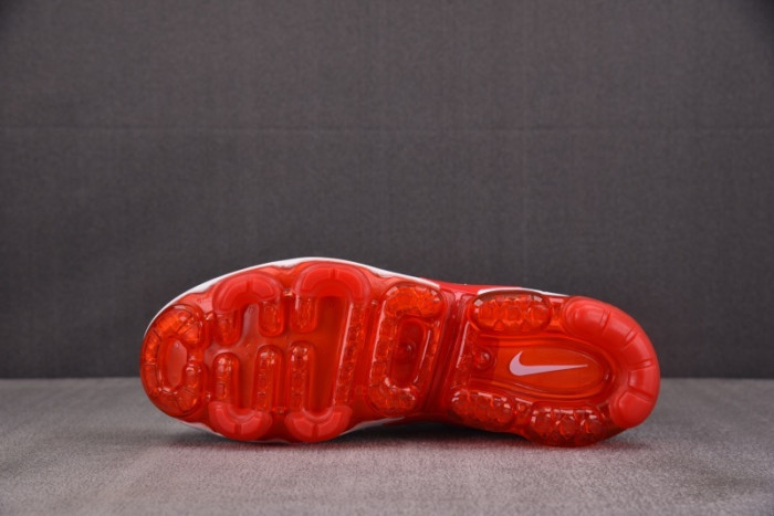 NIKE AIR VAPORMAX Plus 924453-162