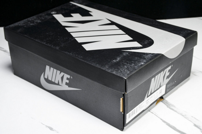 AIR JORDAN 1 HIGH OG STAIN SHADOW 2024 FD4810-010