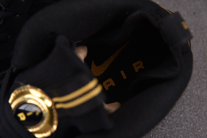 Nike Air Foamposite Pro “Black/Metallic Gold” 624041-009