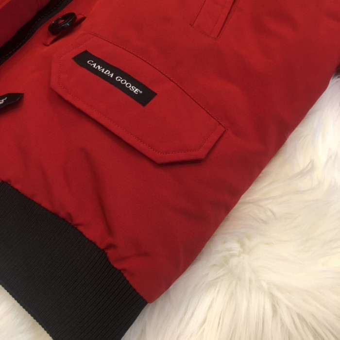 CANADA G00SE CHILLIWACK C11