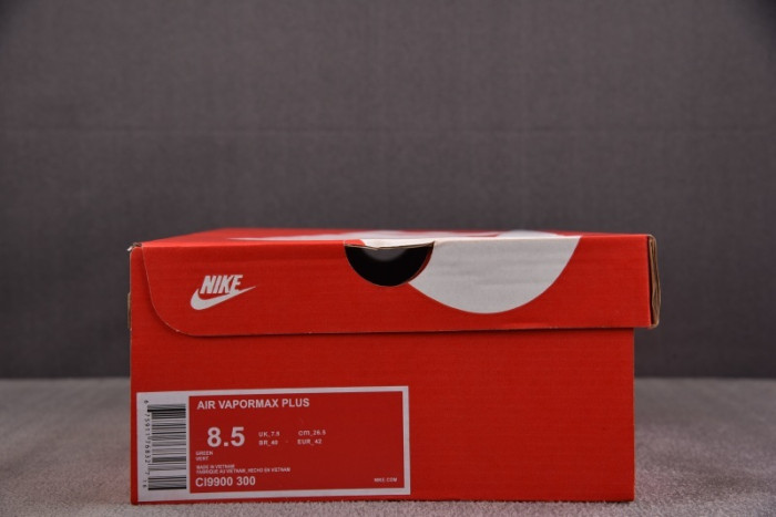 NIKE AIR VAPORMAX Plus CI9900-300