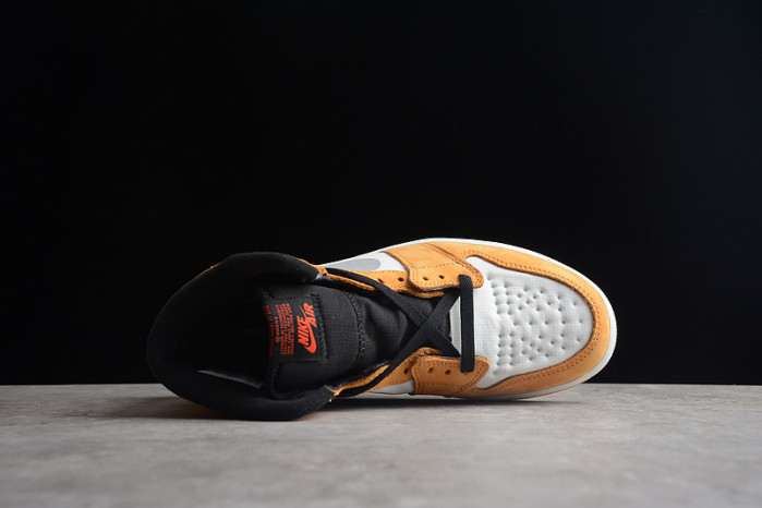 air jordan 1 high element gore-tex light curry db2889-700