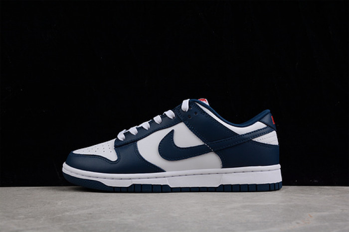 nike dunk sb low retro valerian blue dd1391-400