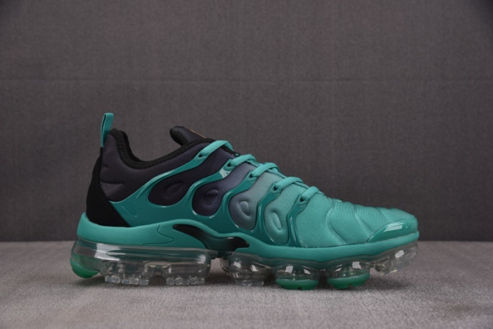 NIKE AIR VAPORMAX Plus DH0145-300