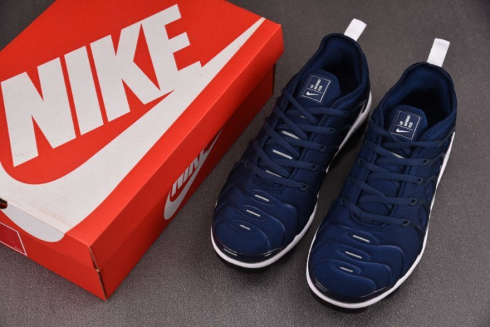 NIKE AIR VAPORMAX Plus DH0611-400