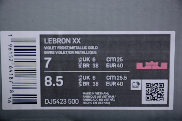nike lebron 20 violet frost dj5422-500