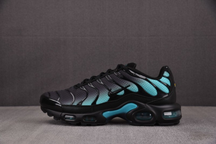 NK Air Max Plus Black Dusty Cactus DM0032-016