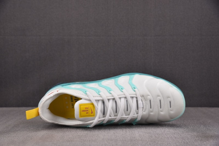 NIKE AIR VAPORMAX Plus DQ7645-100