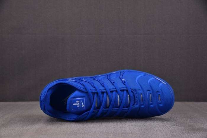 NIKE AIR VAPORMAX Plus HJ9148-480