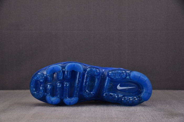 NIKE AIR VAPORMAX Plus HJ9148-480