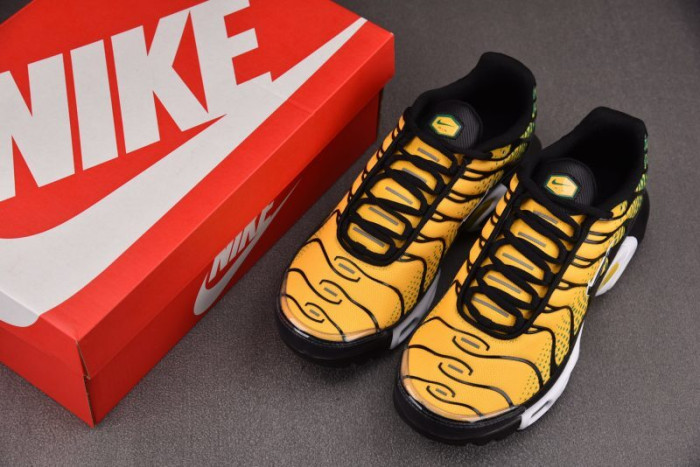 Nike Air Max Plus IB7671-700