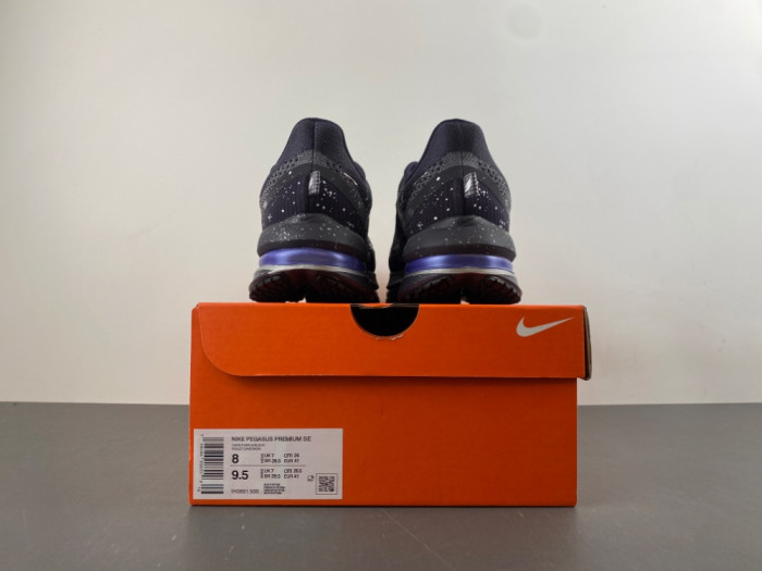 Nike Pegasus Premium SE IH0861-500