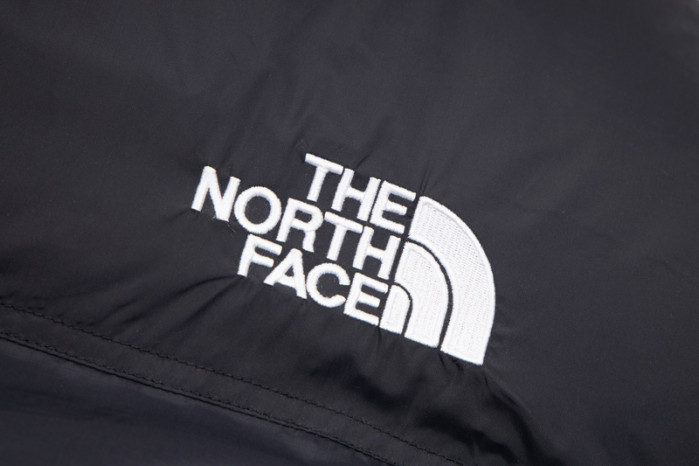 the n0r*h Fa*e 1996 nuptse p11200350
